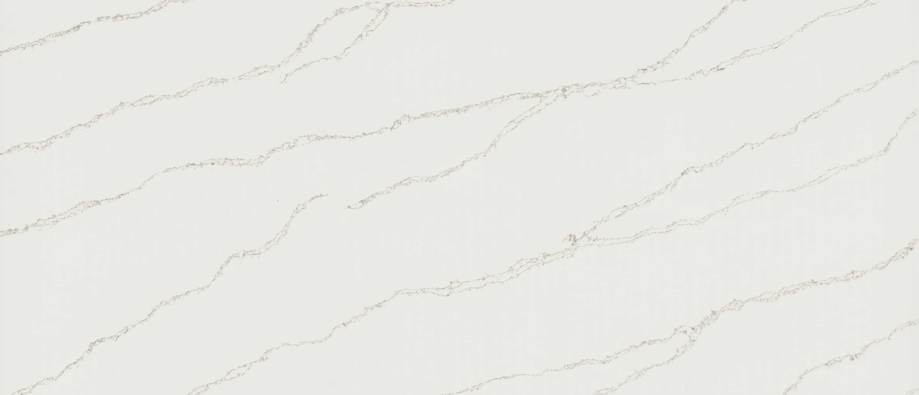 Calacatta Arno slab by MSI