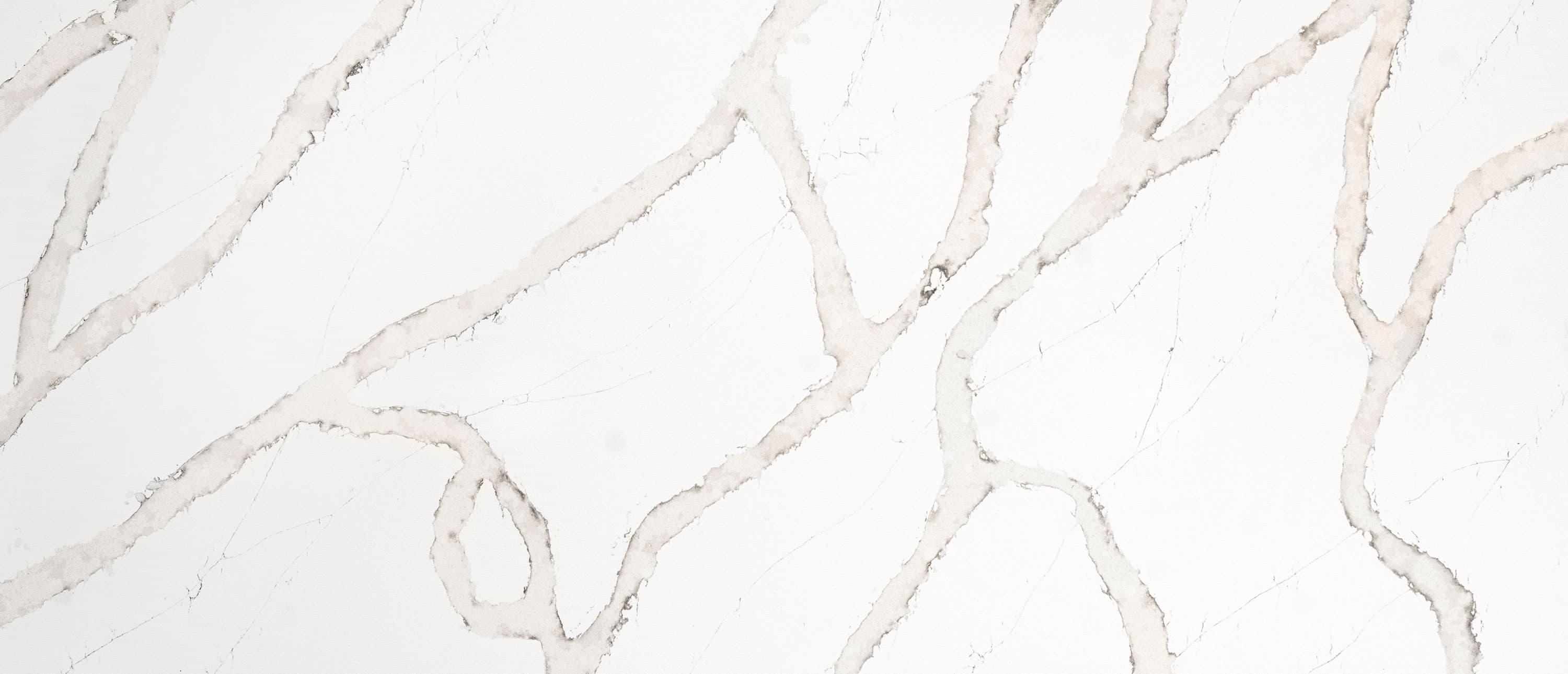Calacatta Goa slab by MSI