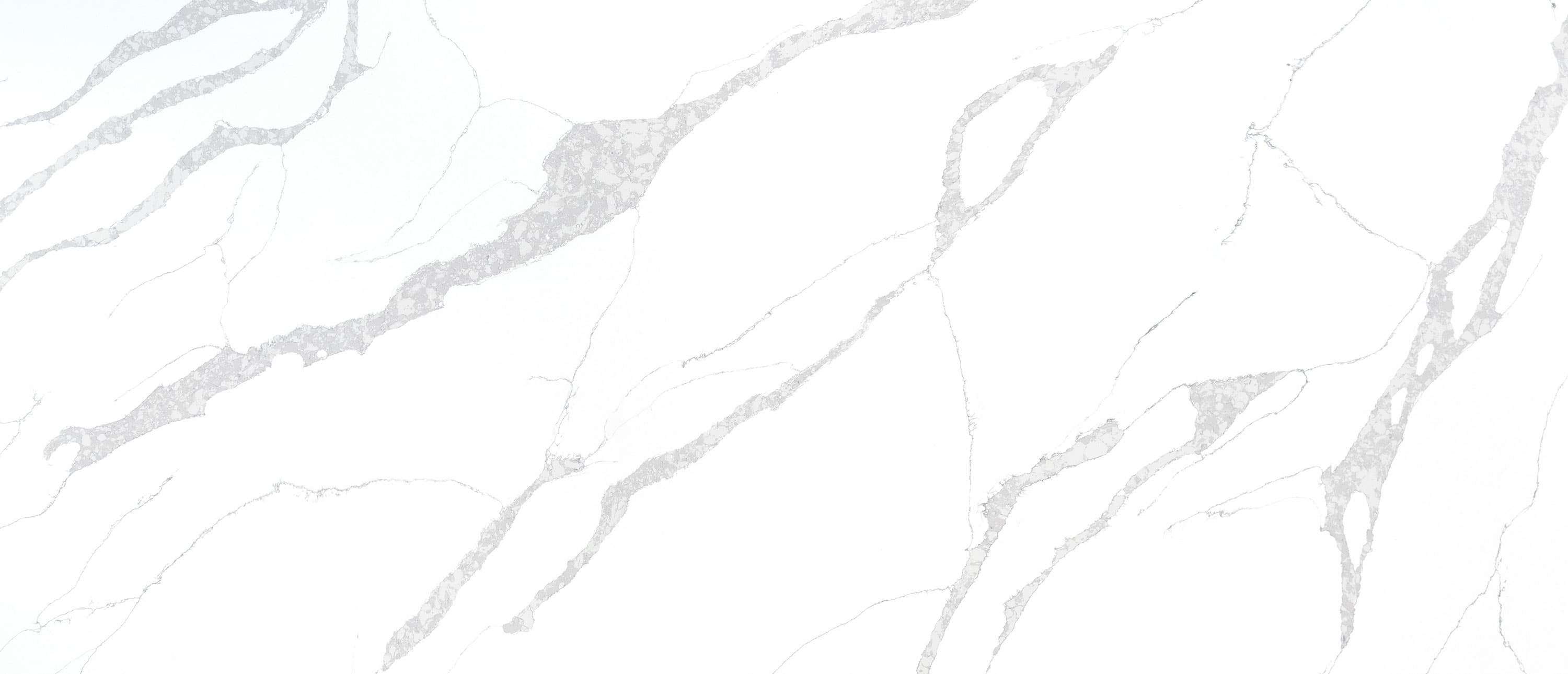 Calacatta Leon slab by MSI