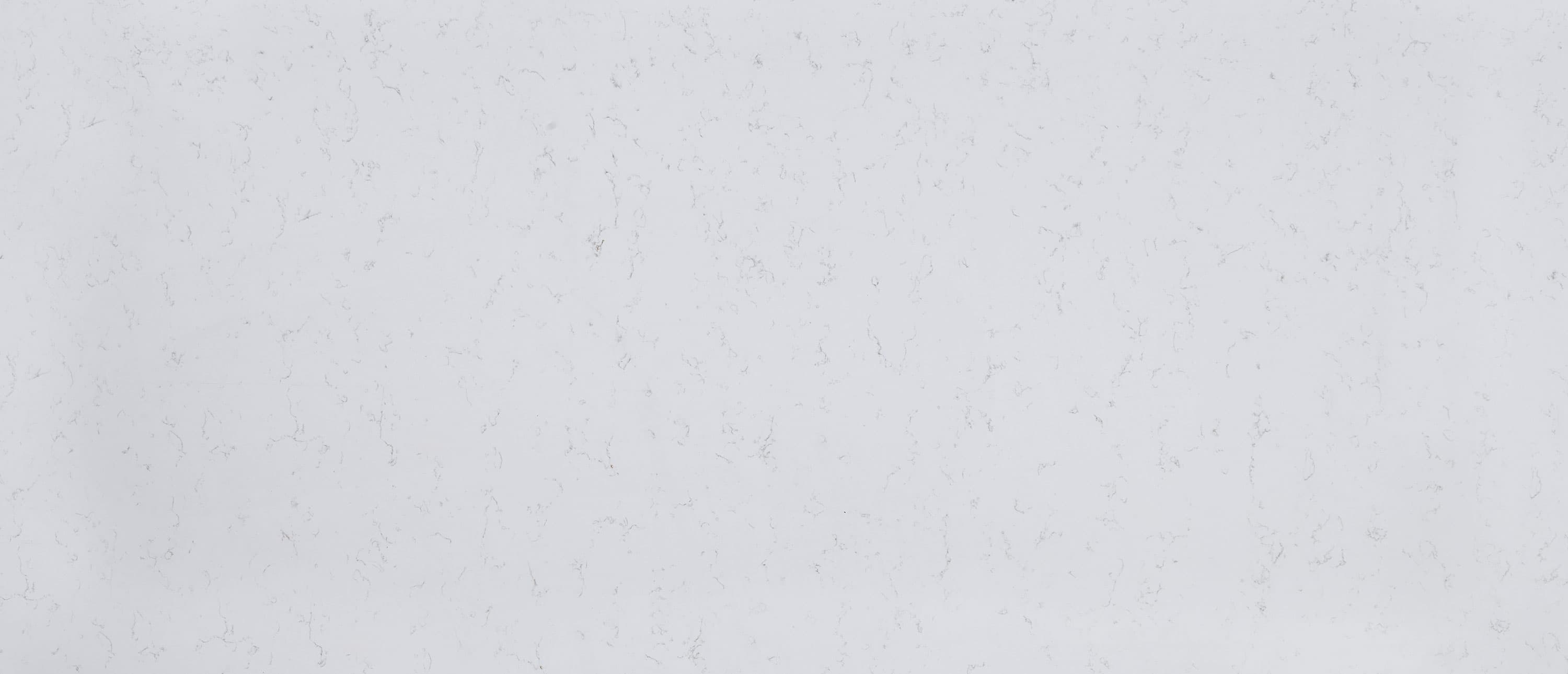 Carrara Breve slab by MSI