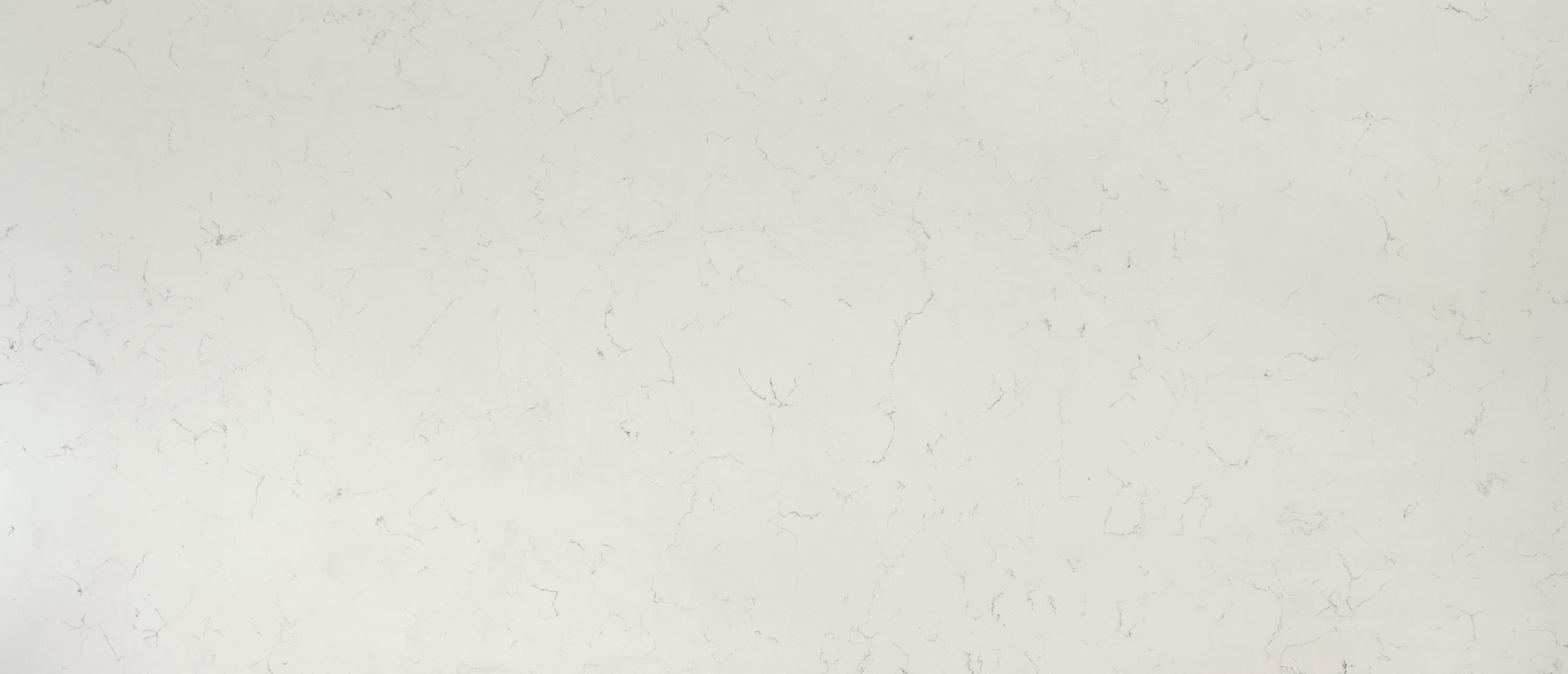 Carrara Delphi slab by MSI