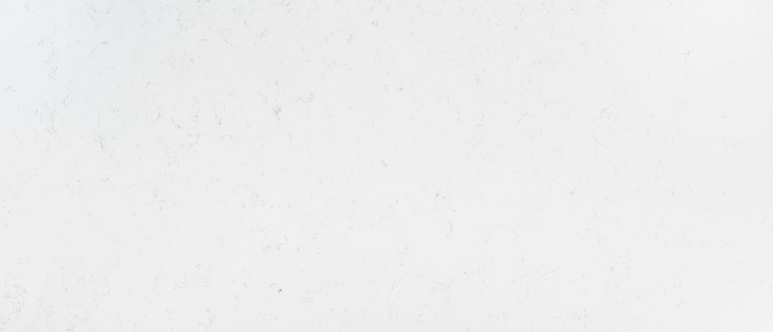 Carrara Morro slab by MSI