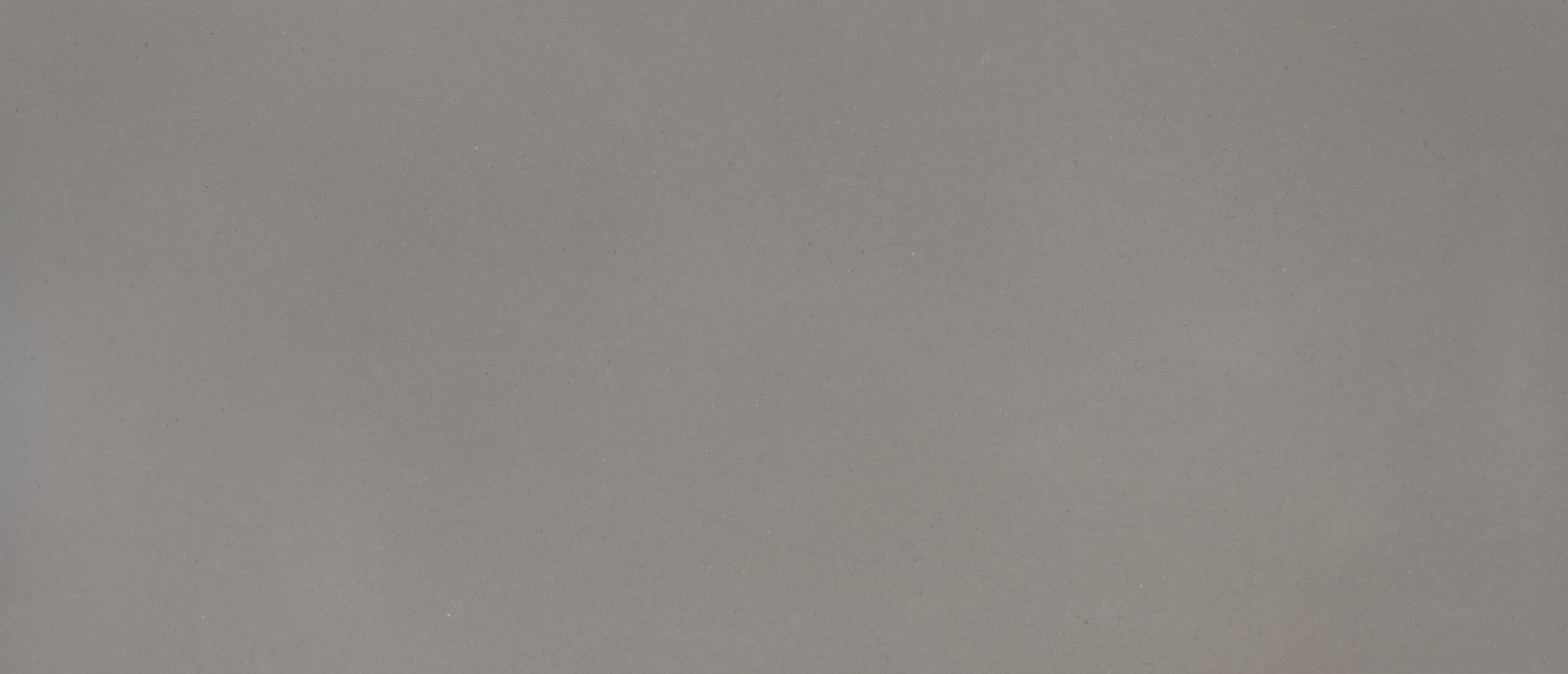 Fossil Gray slab by MSI
