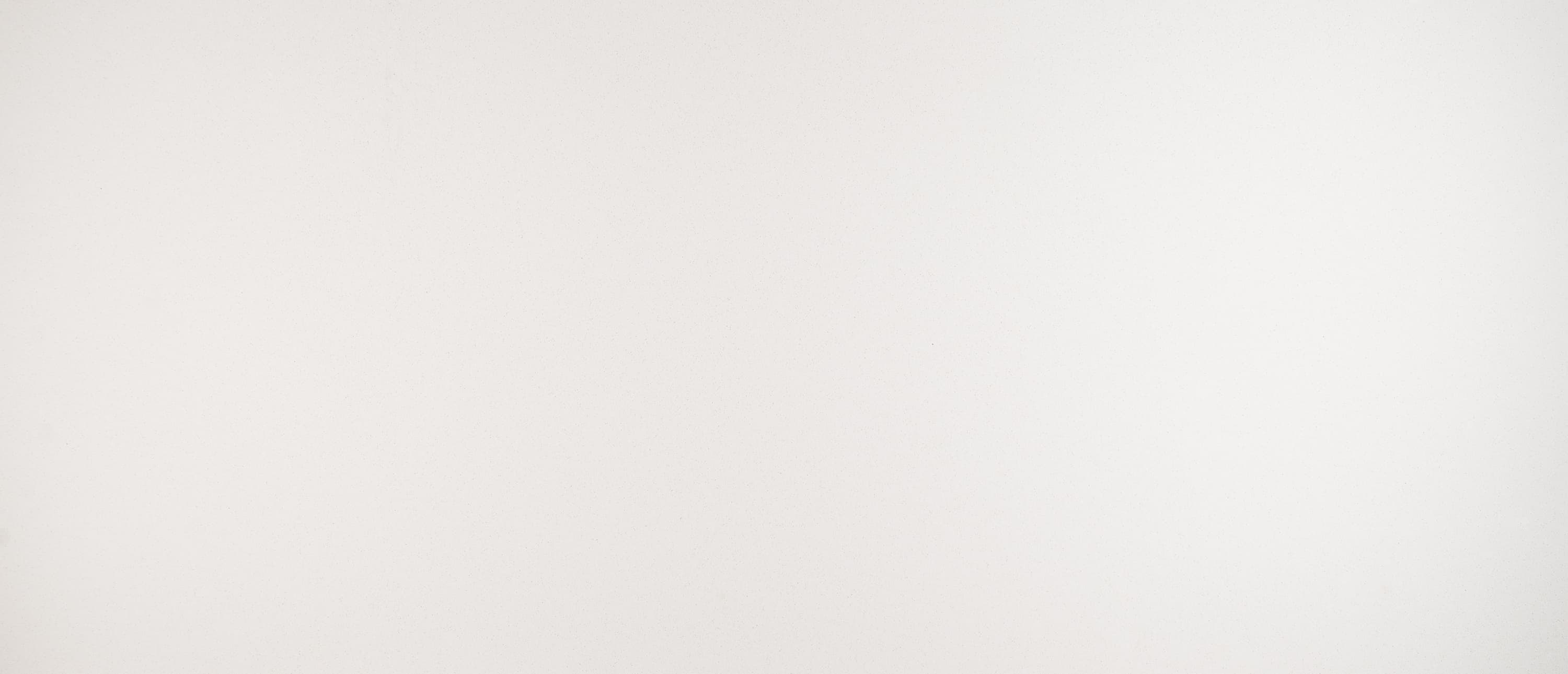 Frost White slab by MSI