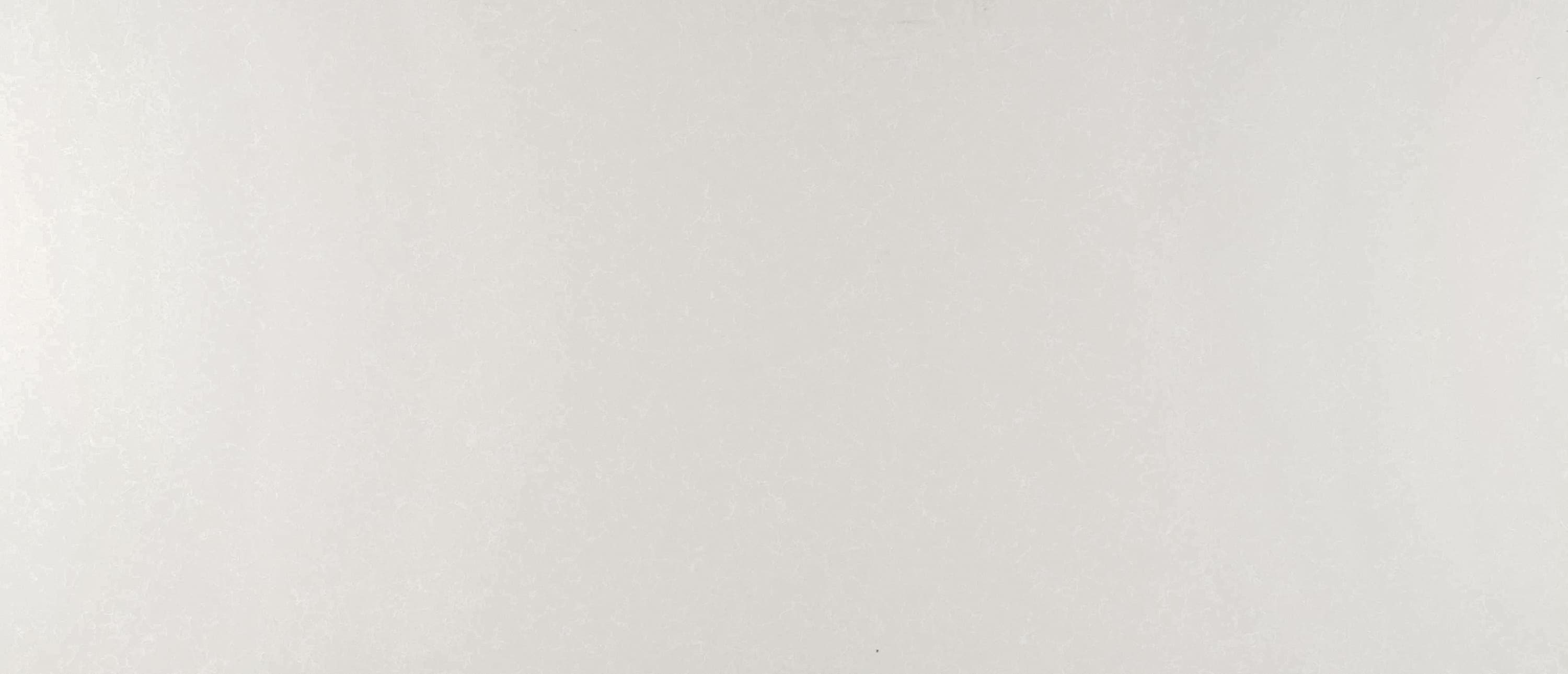 Perla White slab by MSI