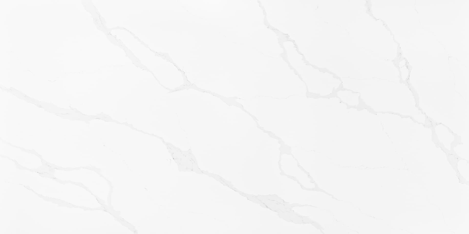 Calacatta Snow slab