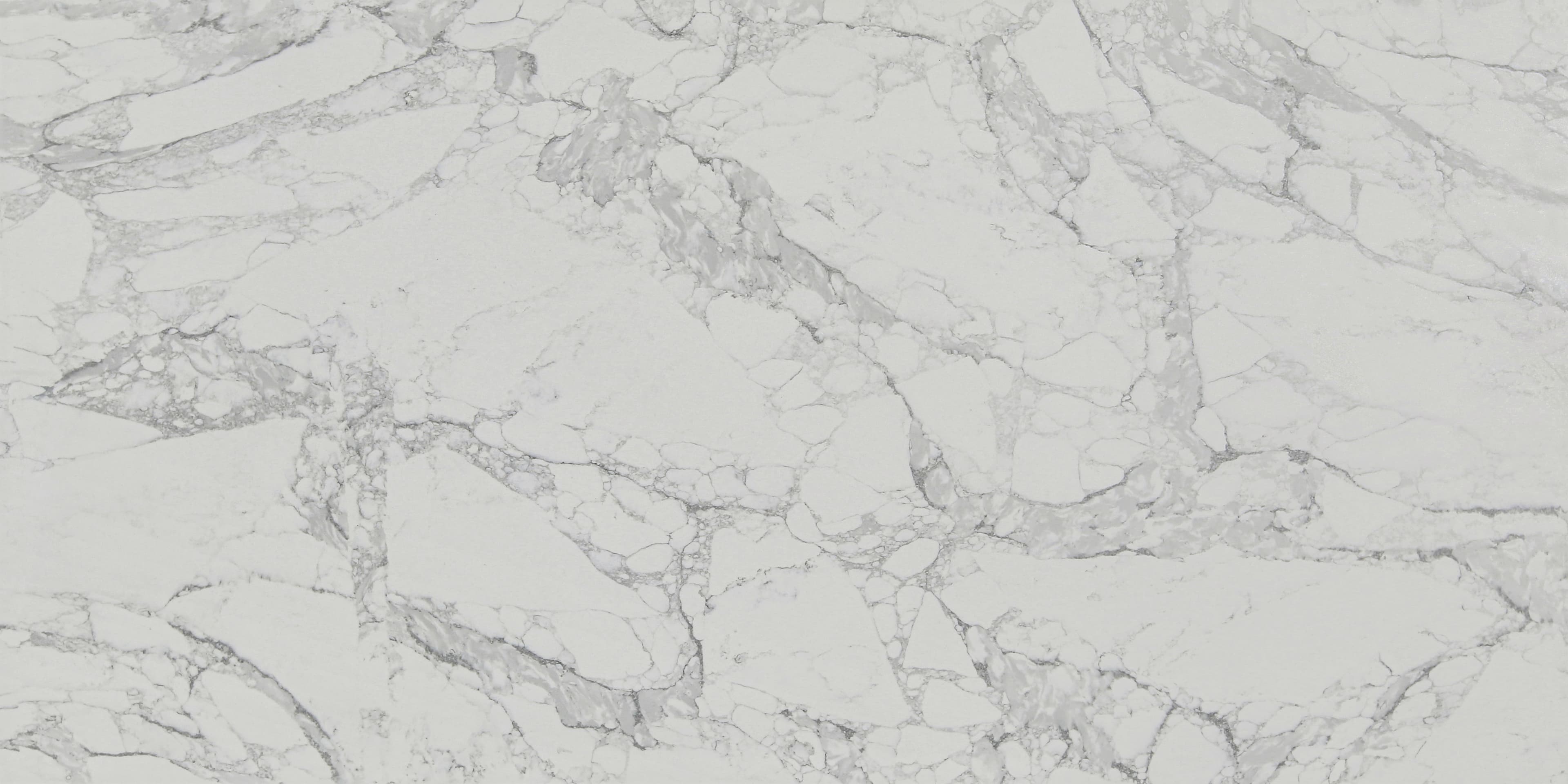 Arabescato Venato slab