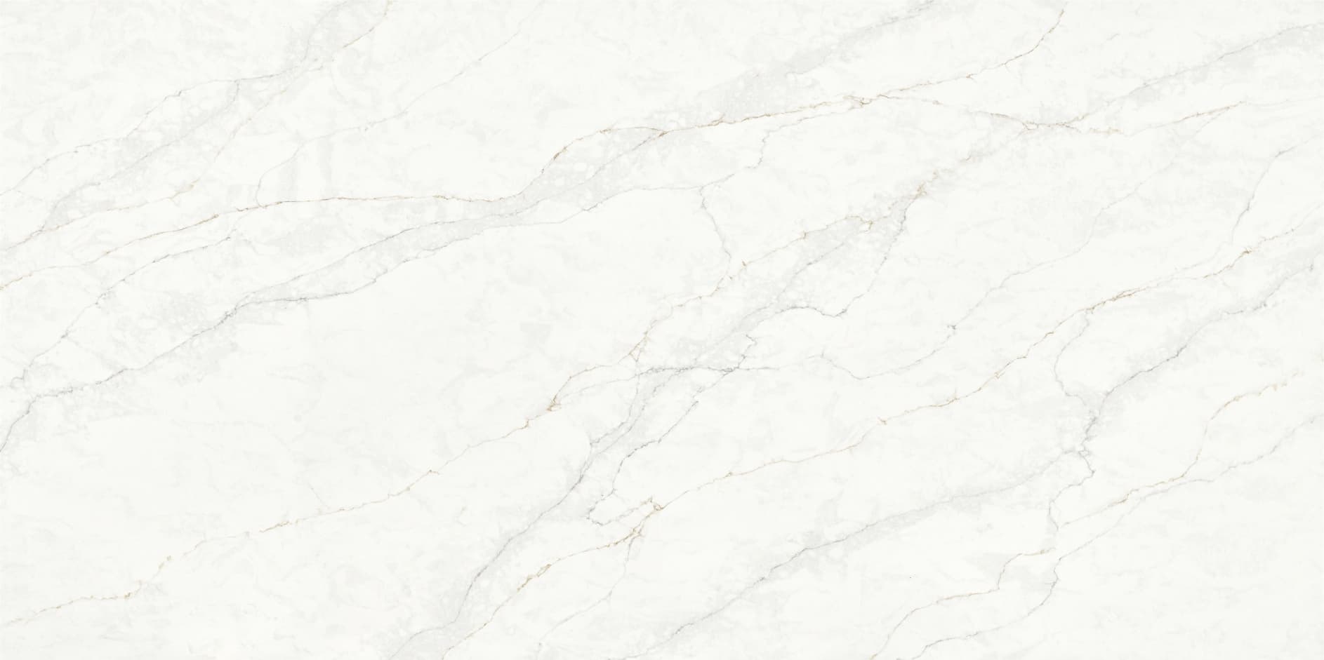 Gold Statuario slab