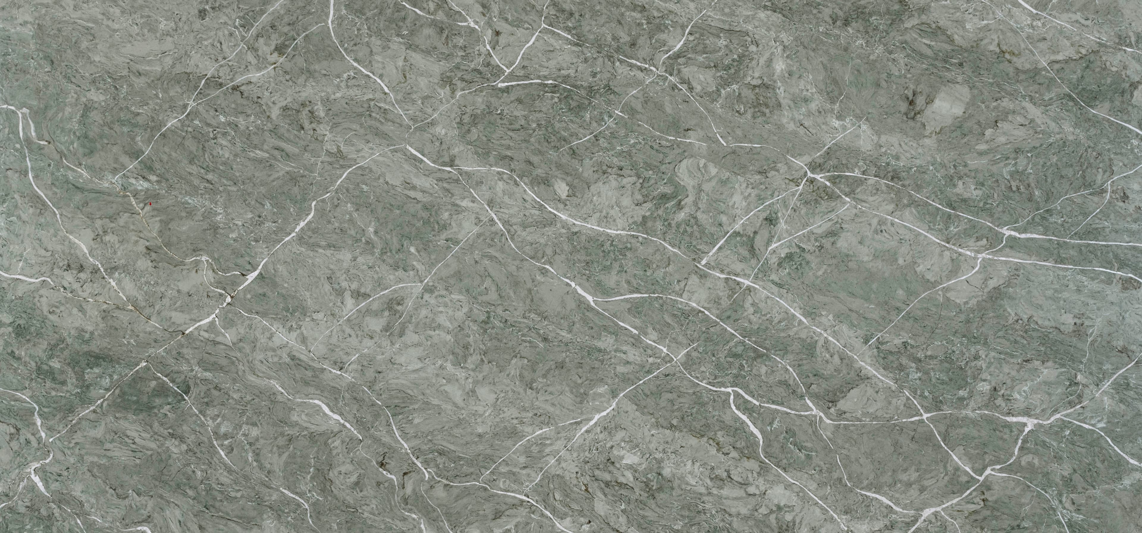 Vitoria Regia New slab