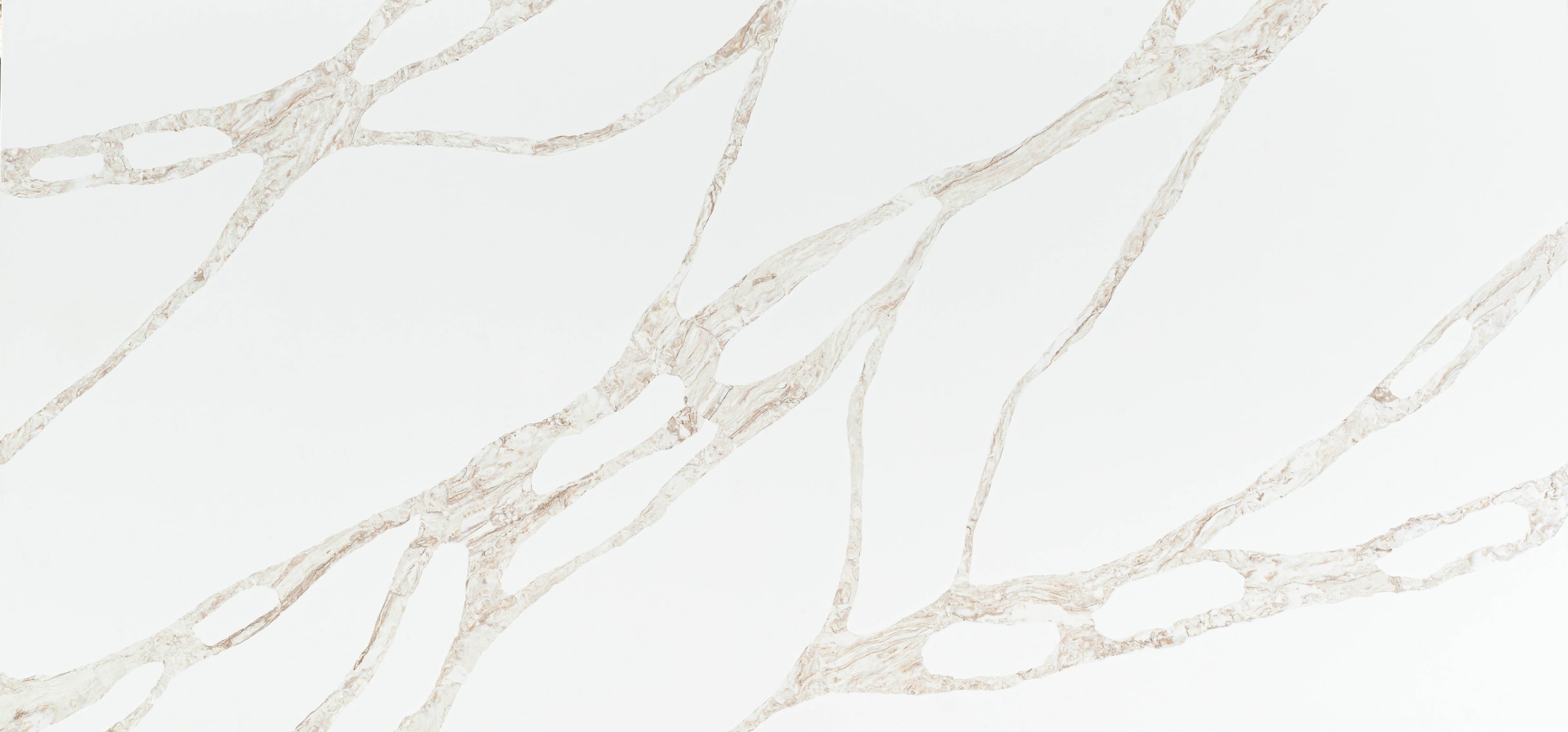 Vivalioro slab