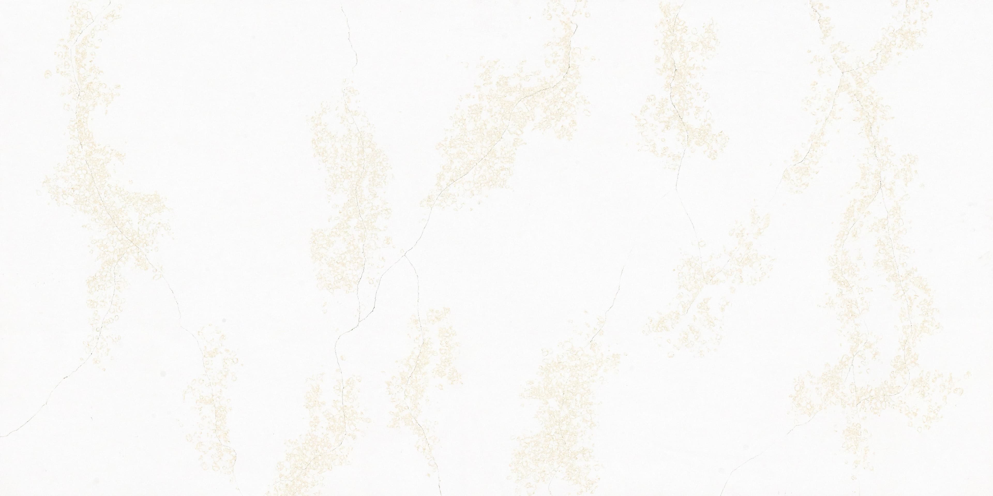 Calacatta Oro slab by Lucent Quartz