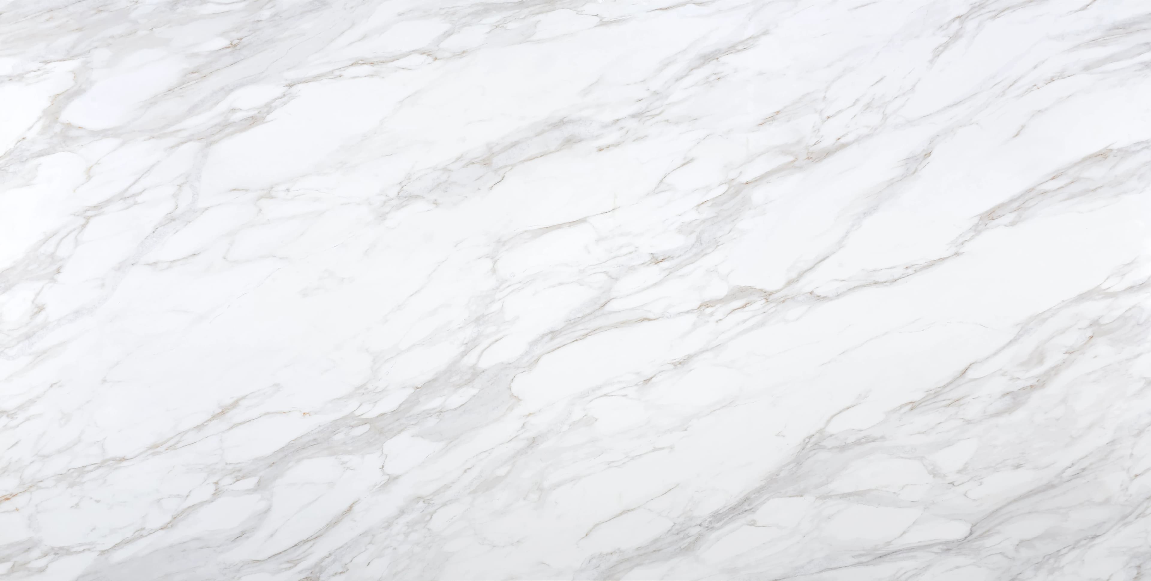 Calacatta Veneto slab by Lucent Quartz