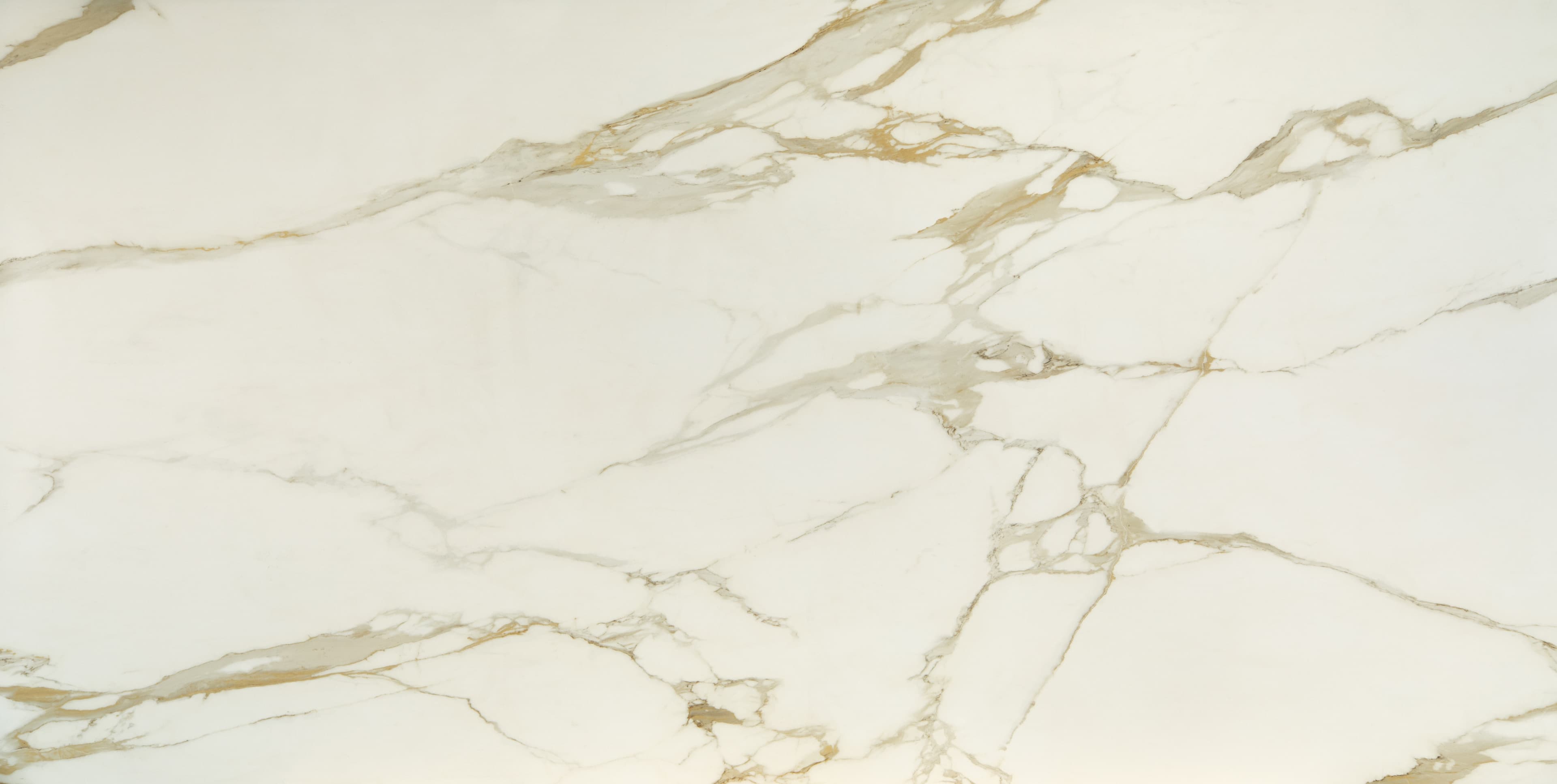 Calacatta Solara slab
