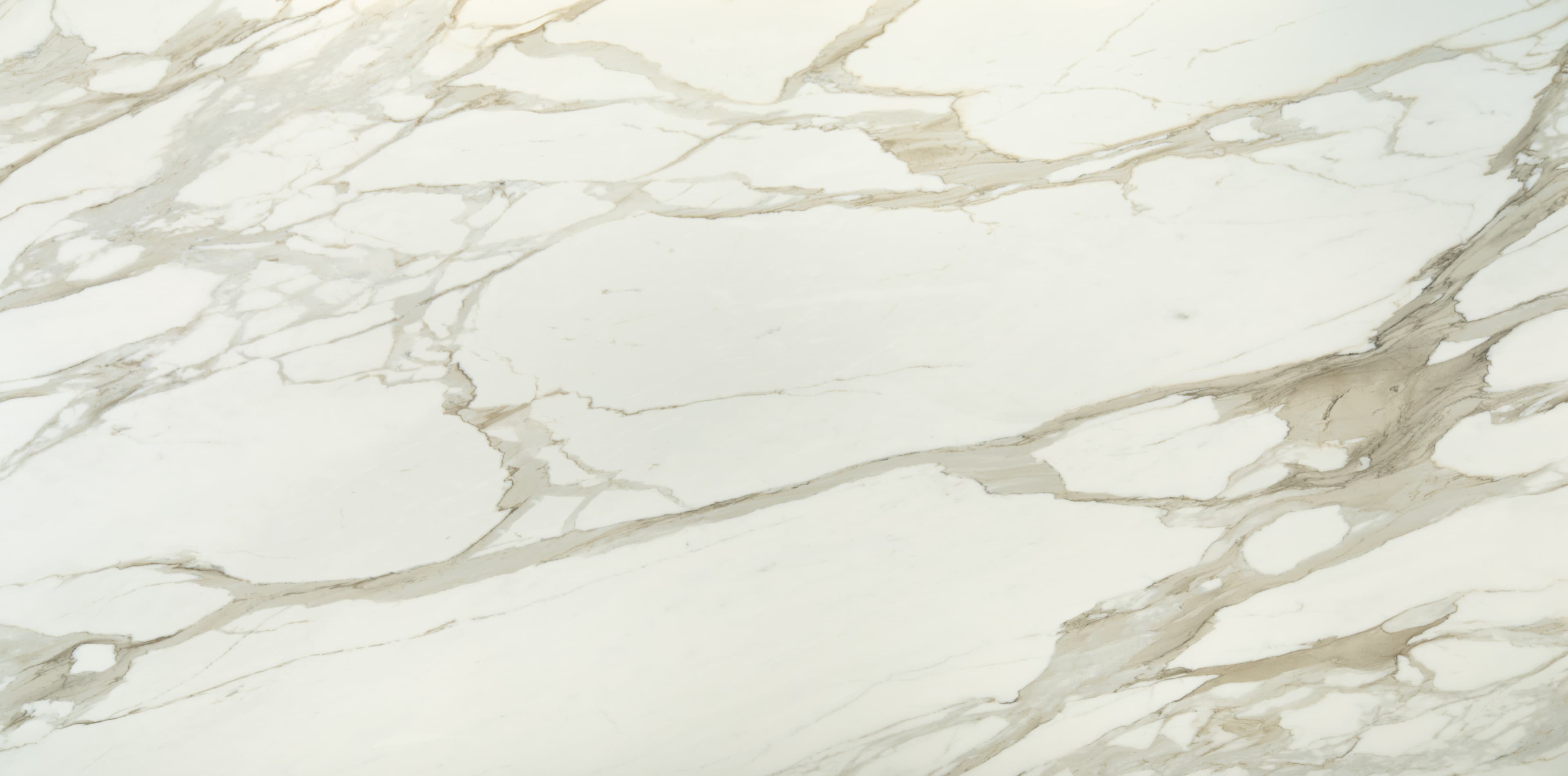 Calacatta Prema slab