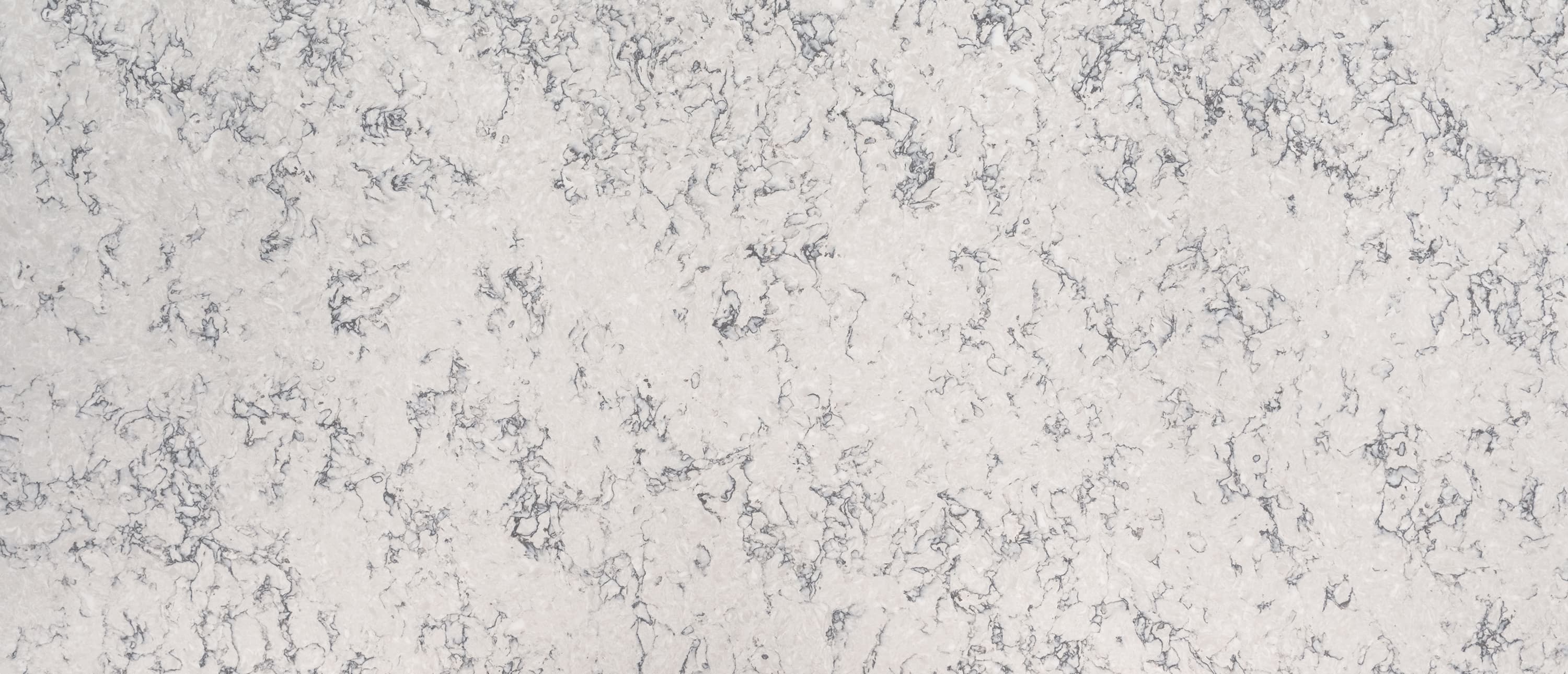 Blanca Arabescato slab