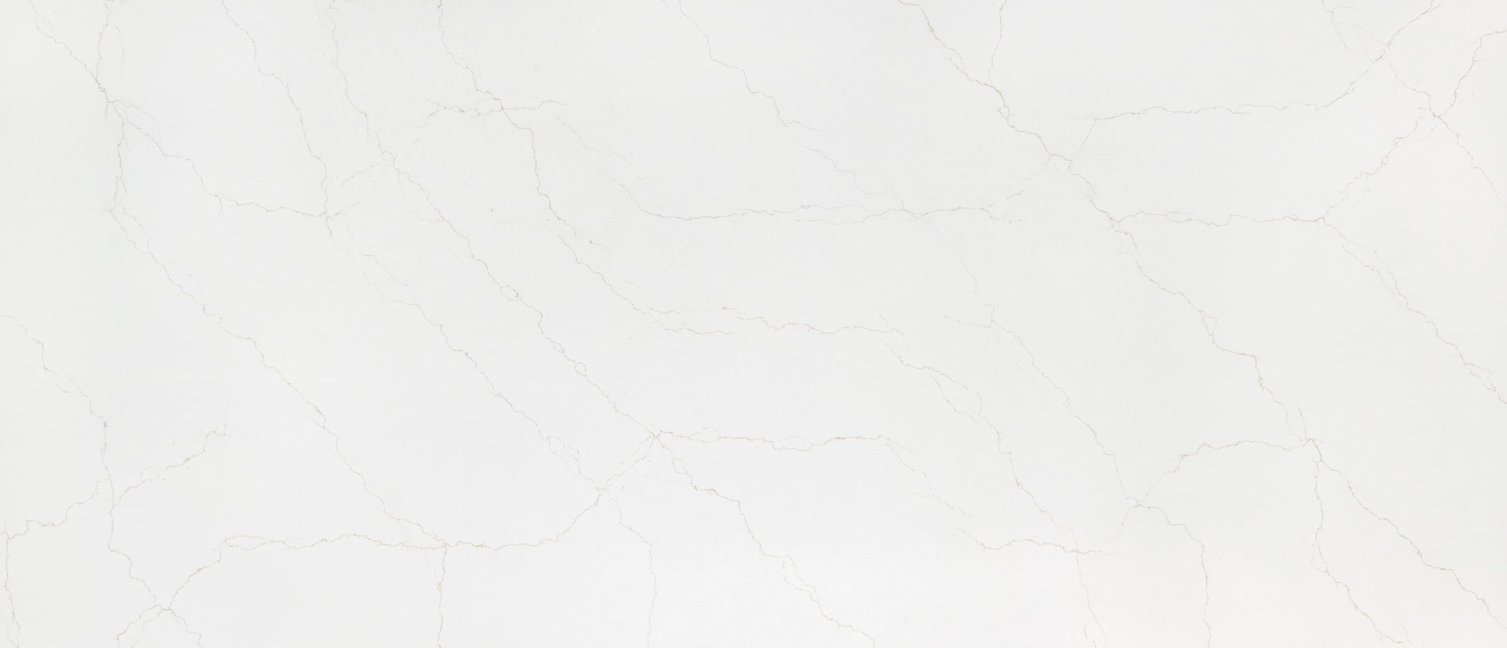 Calacatta Adonia slab