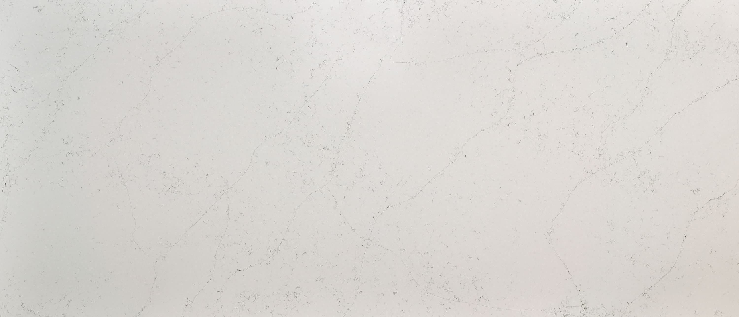Calacatta Botanica slab