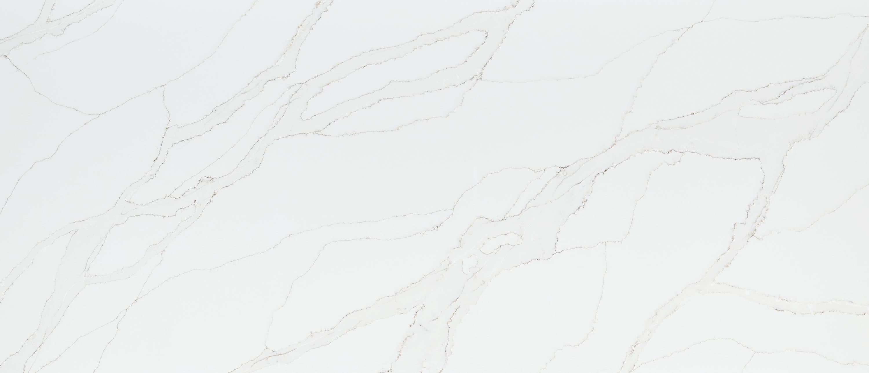 Calacatta Izaro Bkmatch slab