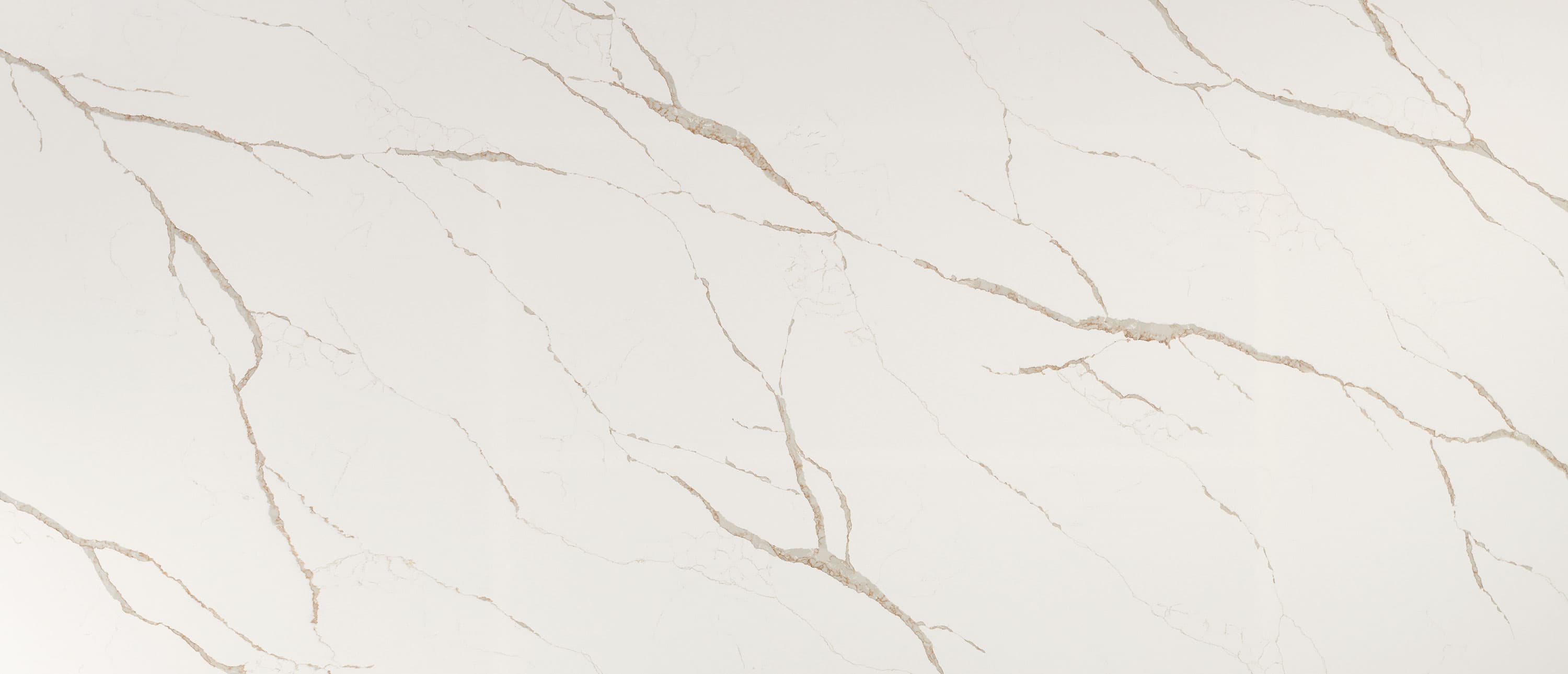 Calacatta Laza Oro slab
