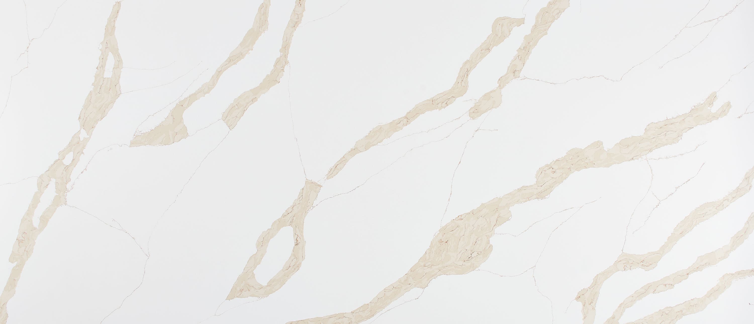 Calacatta Leon Gold slab