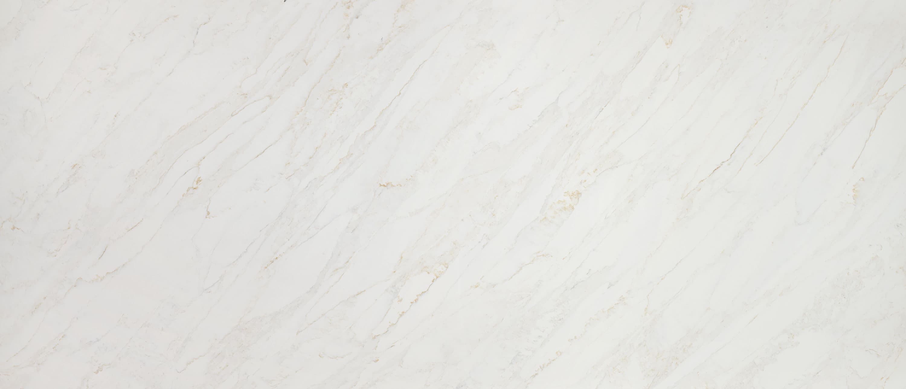 Calacatta Premata slab