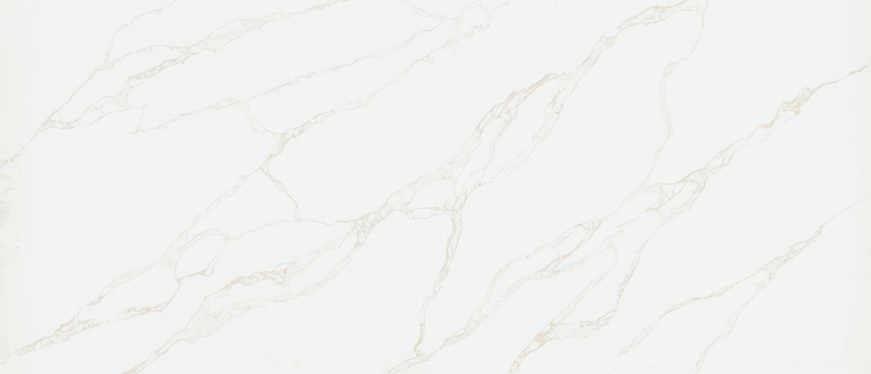 Calacatta Rivessa Bkmatch slab