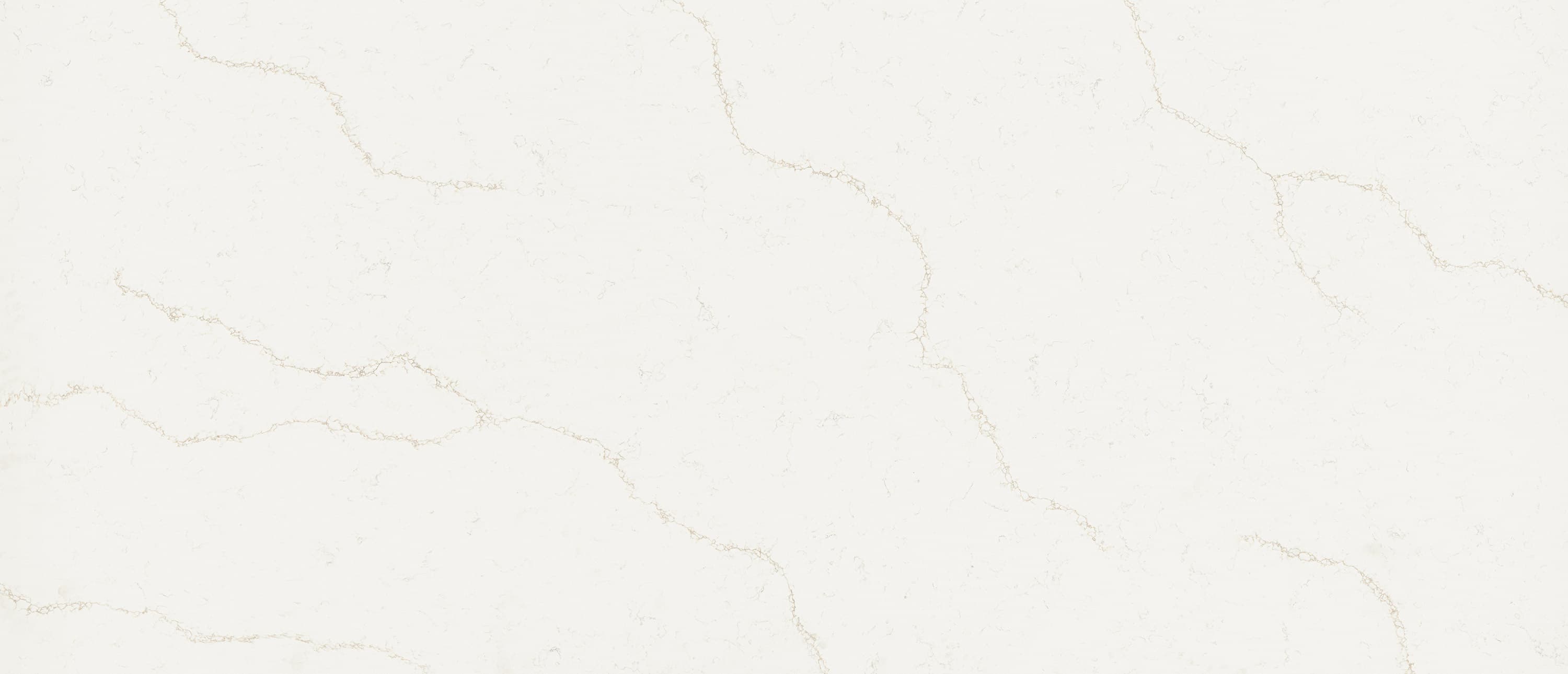 Calacatta Rusta slab
