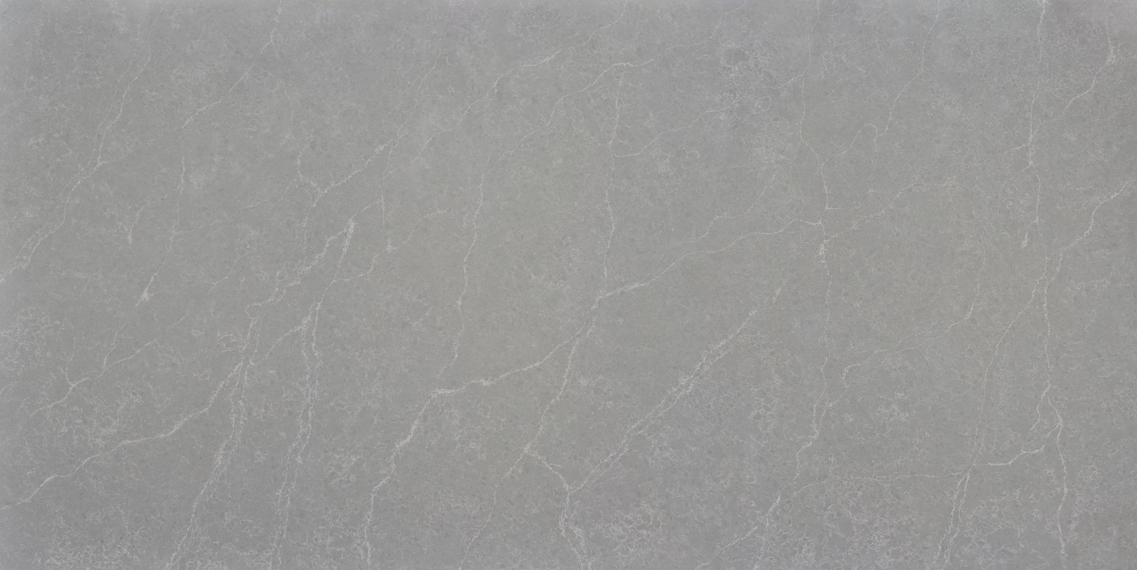 Fossil Grey slab